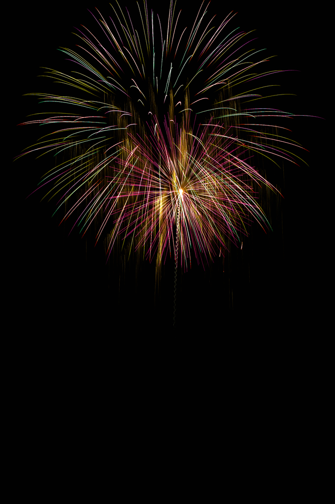 hanabi5