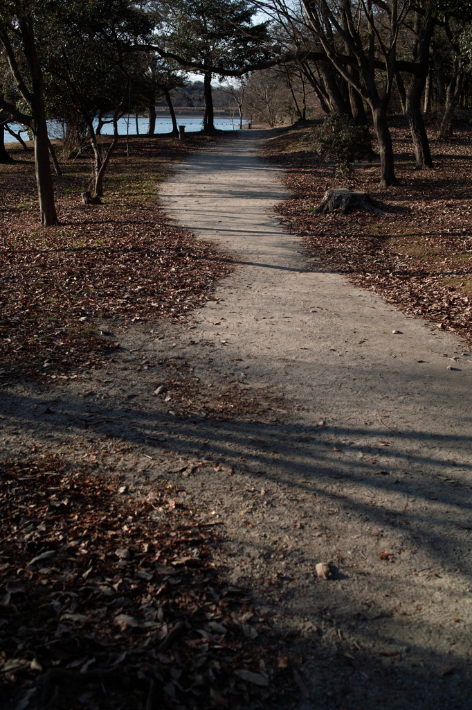 冬の散歩道2