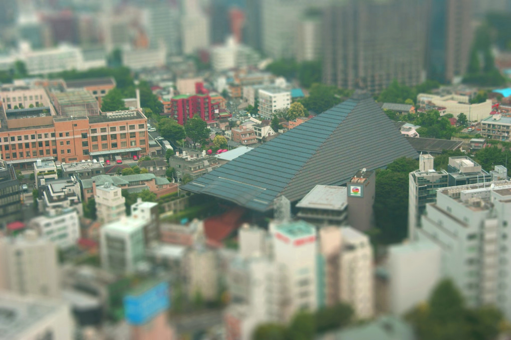 東京タワーから見る