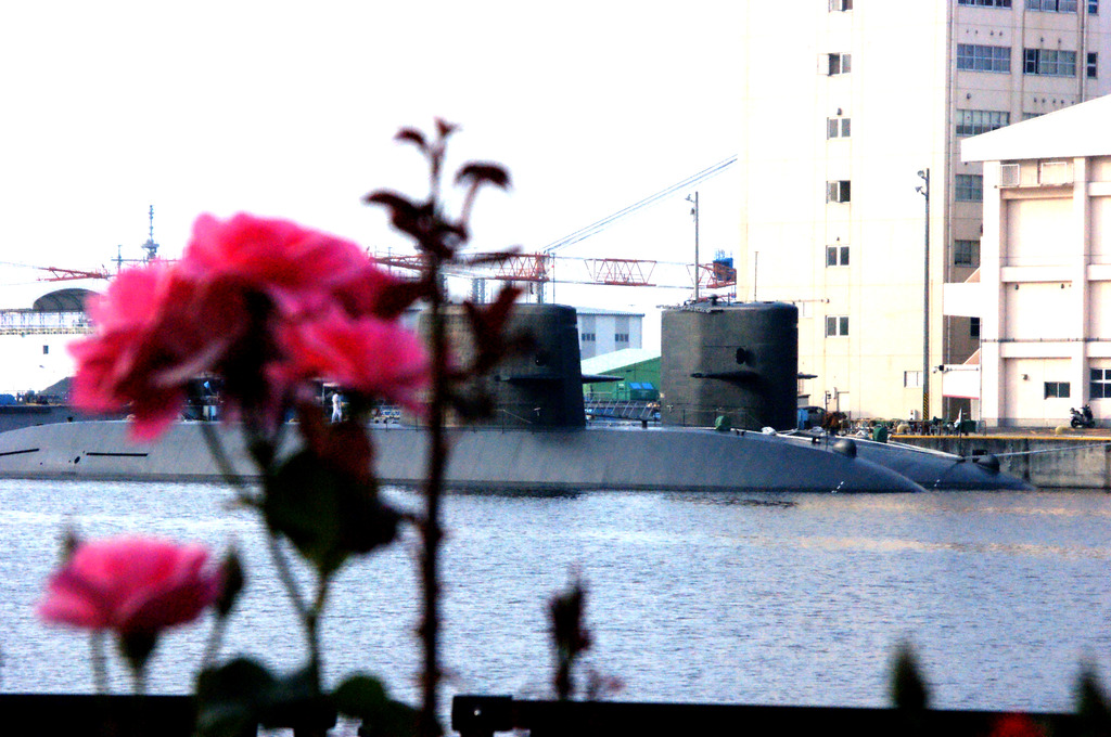 薔薇と潜水艦