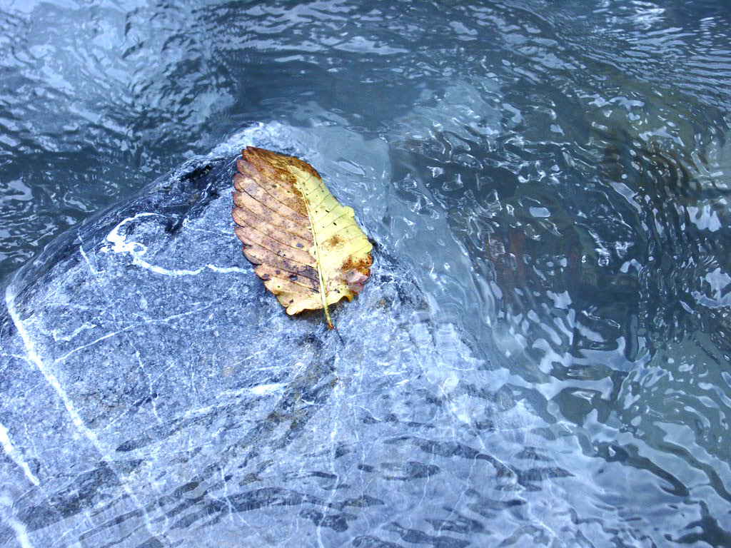 奥多摩、流れゆく