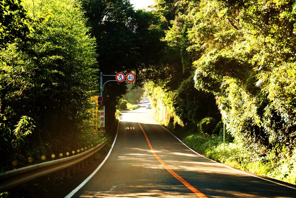 散歩道