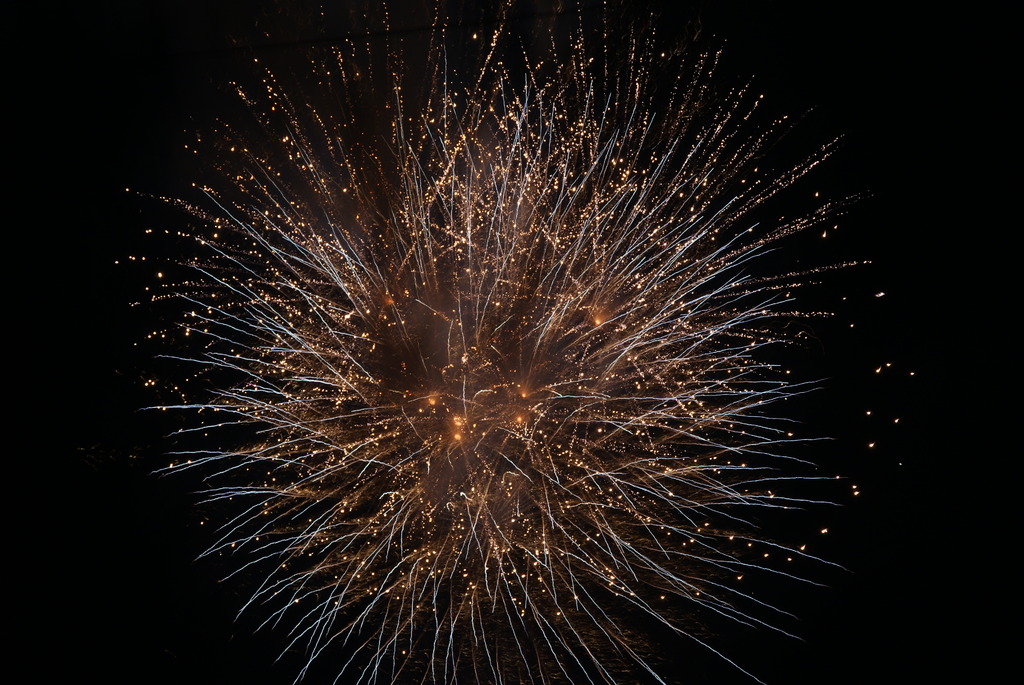 2009年初花火