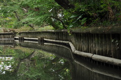 柳川　川下り