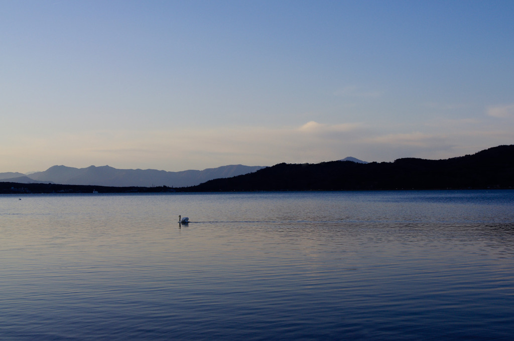 白鳥の湖