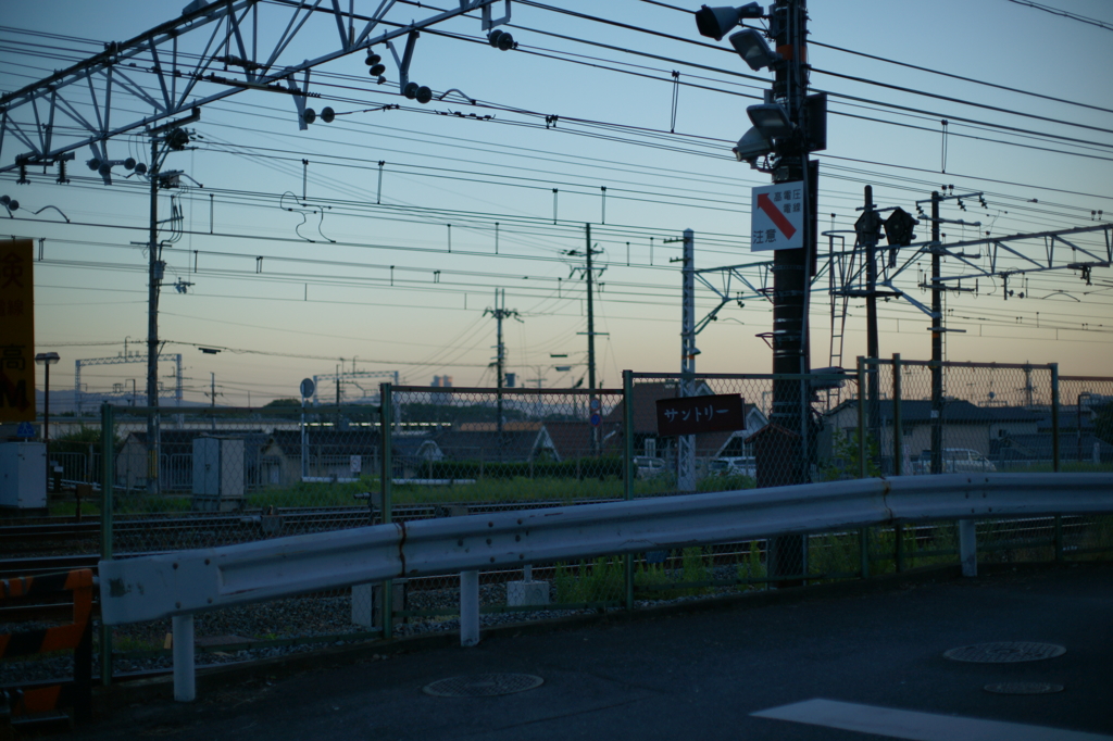 suntory