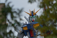 RX-93ff νガンダム DSC00535