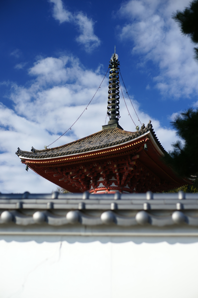 尾道　空