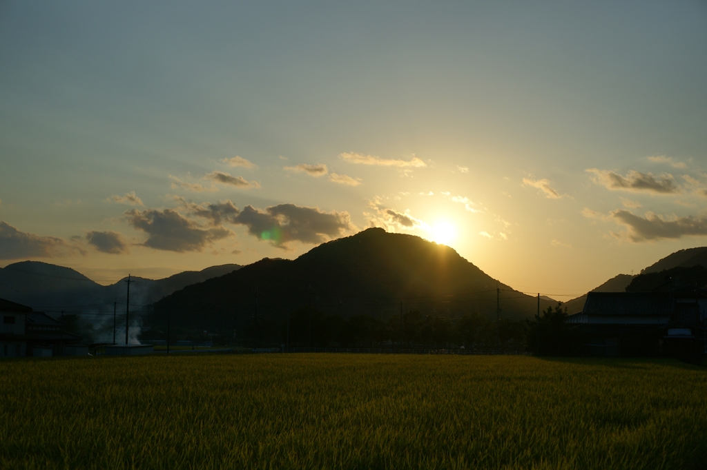 田園
