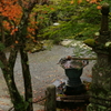 手水舎　DSC07370