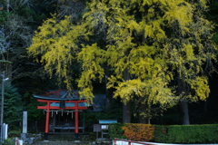 神社　DSC06859