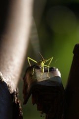 おい、あんたさ、旨いのか？