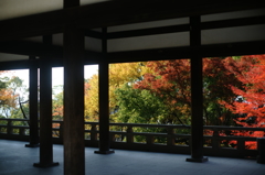 ２０１３　紅葉１