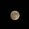 十五夜　DSC01668