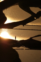 浜野浦の棚田２