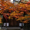 紅葉　DSC06910