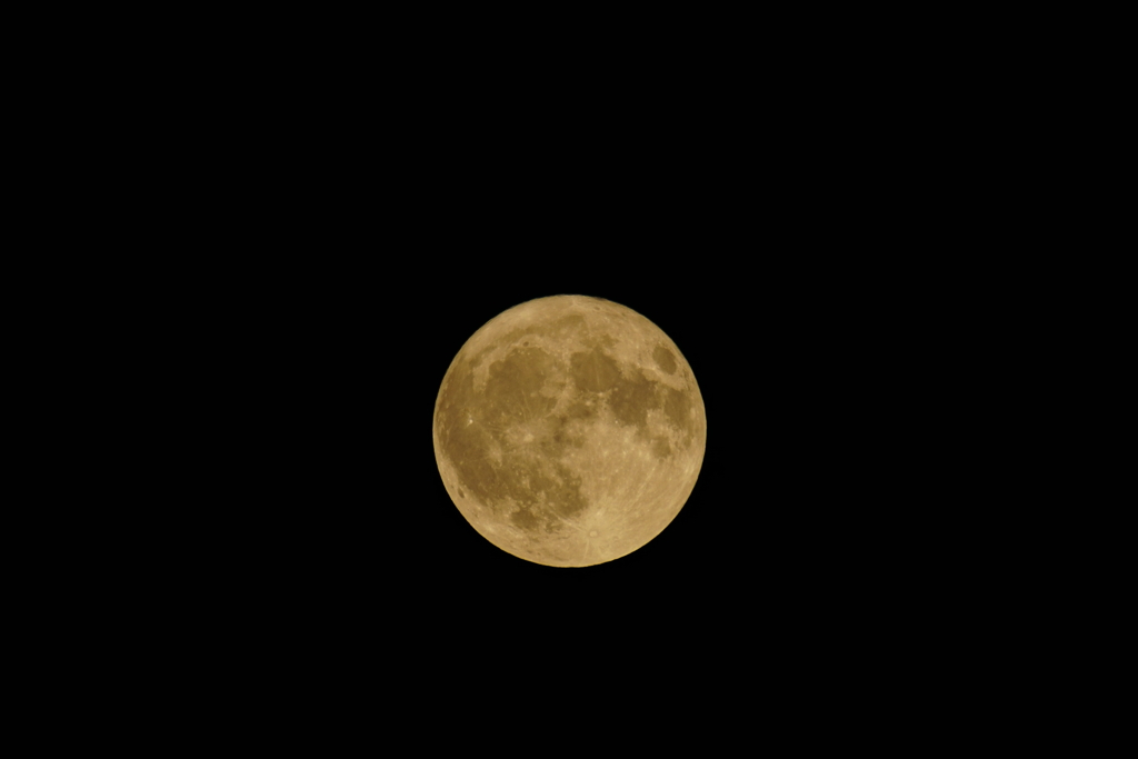バックムーン　DSC02347