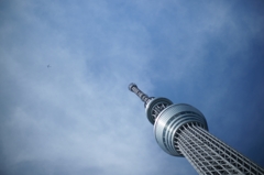 青空とスカイツリーと小さい飛行機