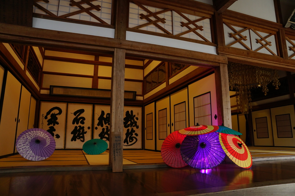 傘　DSC00944
