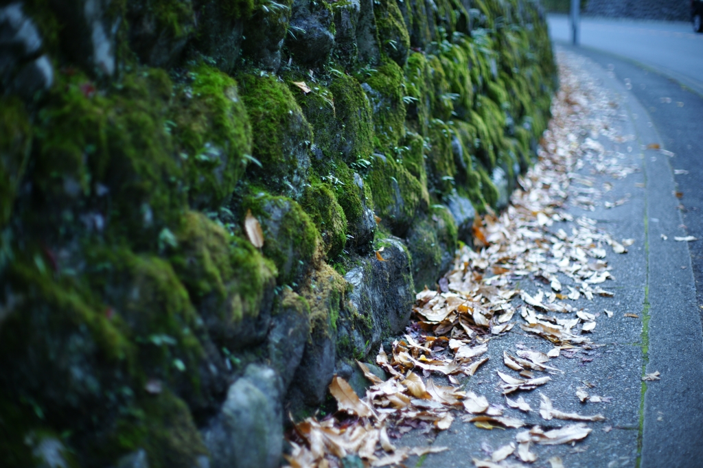 ２０１２　京都