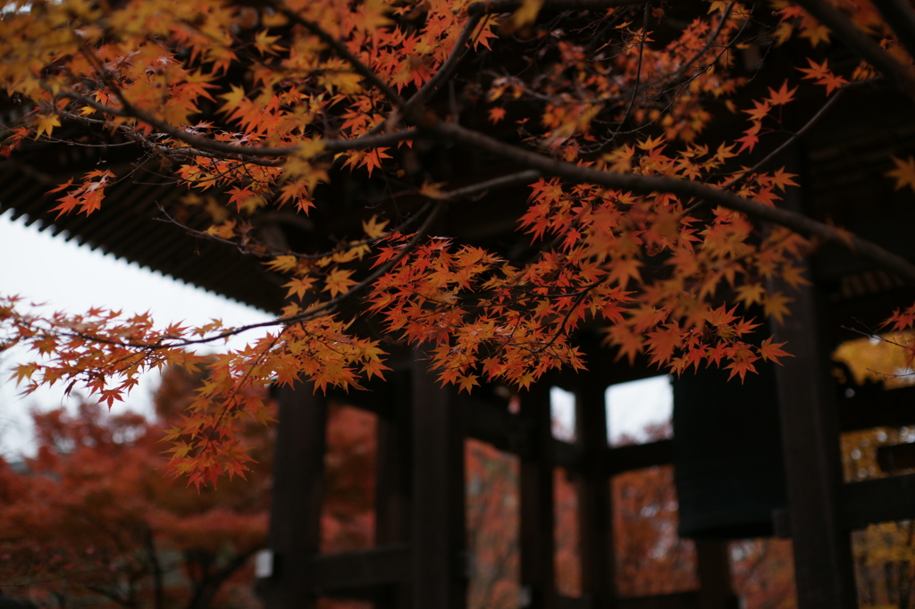 智積院１