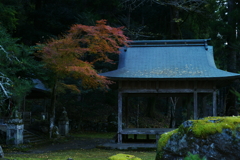 神社　DSC06842