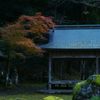 神社　DSC06842