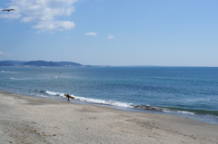 海とサーファー