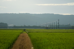 田んぼ　山　電柱