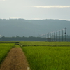 田んぼ　山　電柱