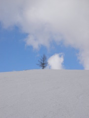 2010年　ハチ高原