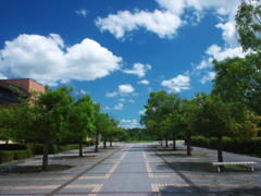 暑い夏が来た～