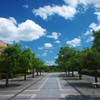 暑い夏が来た～