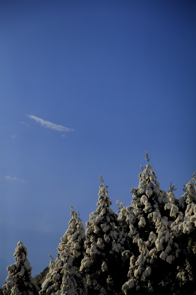 雪の新年