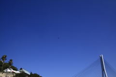 多々羅大橋とヘリコプターと鳥を撮る