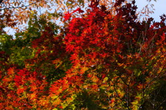 gradation