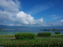 ハスはまだ咲いてませんでした・・・