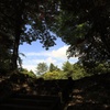 森を抜けると夏空