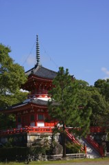 試し撮り