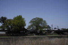 _MG_0702