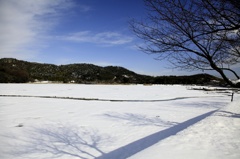 雪化粧