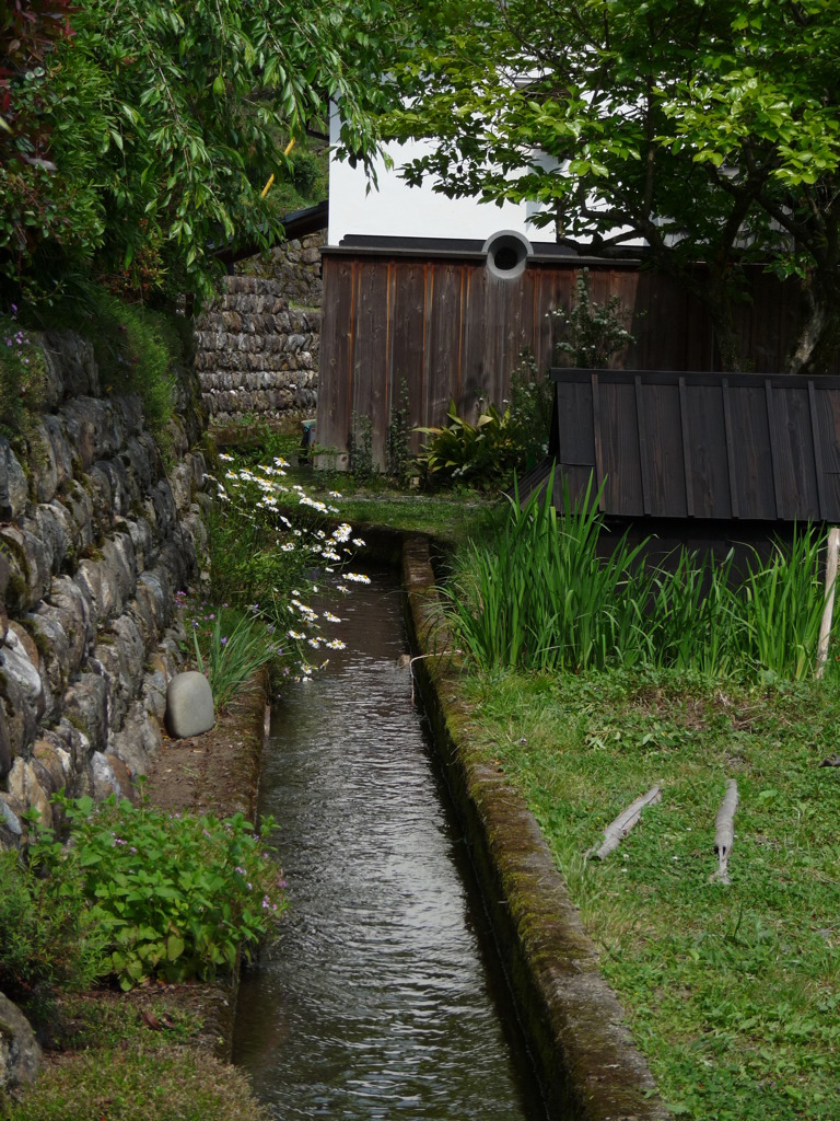 P1000350