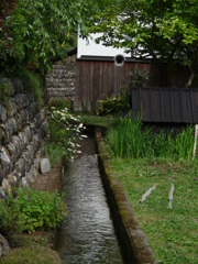 P1000350