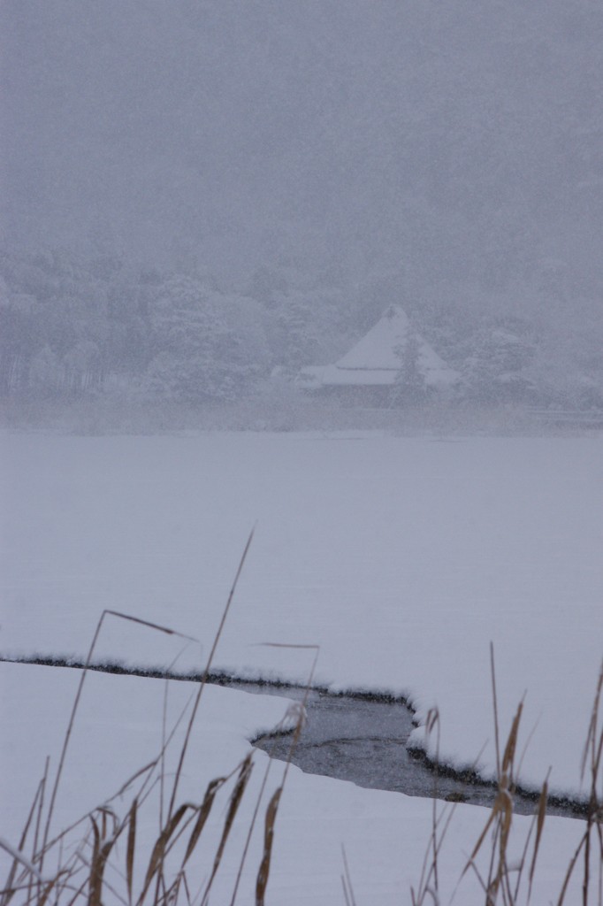 嵯峨野、年の瀬の雪化粧