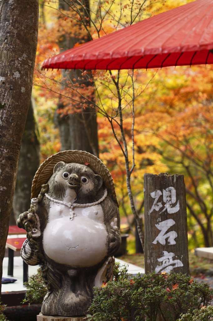 モミジ狩り　壱