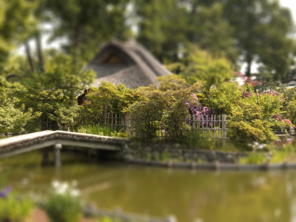 梅宮大社　神苑
