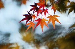 川面のように
