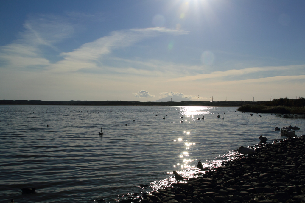 Onuma Lake (wakkanai)