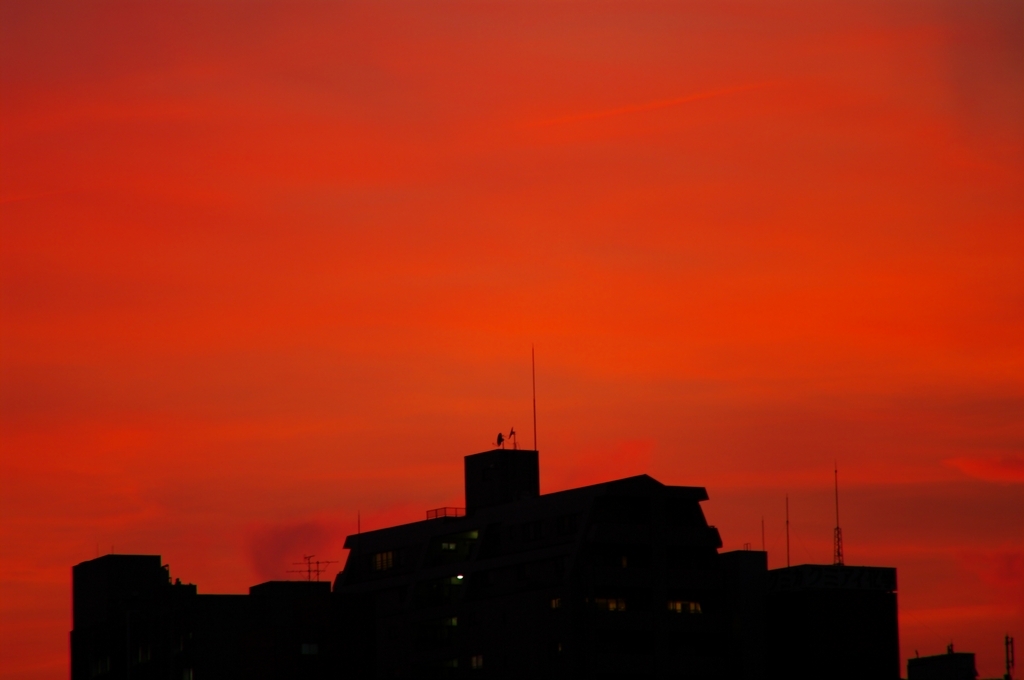 真夏の派手で勢いがある夕焼け