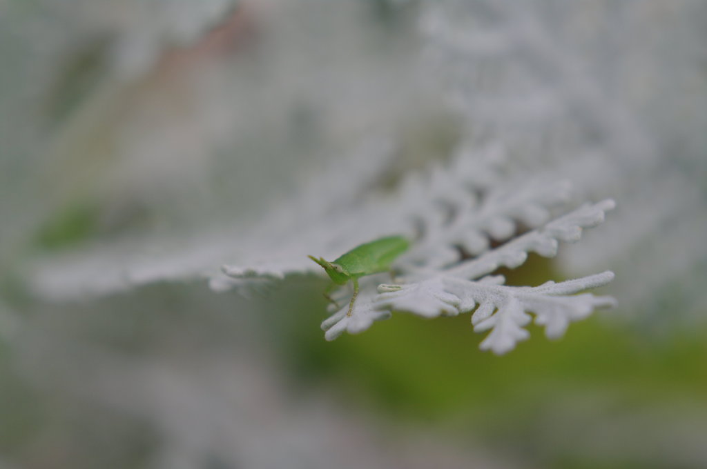 見つけたよ・・・・・